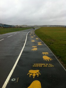 Road Marking Removal