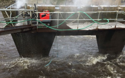 Hydroblast in Ireland: Bridge Refurbishment at Latoon Creek